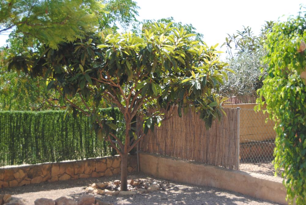  en venta pareado Alfaz Del Pi Marina Baixa 8