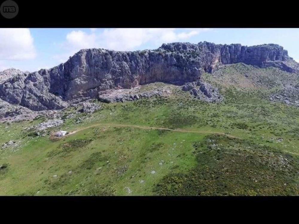  en venta finca rústica Villanueva De La Concepción Antequera 3