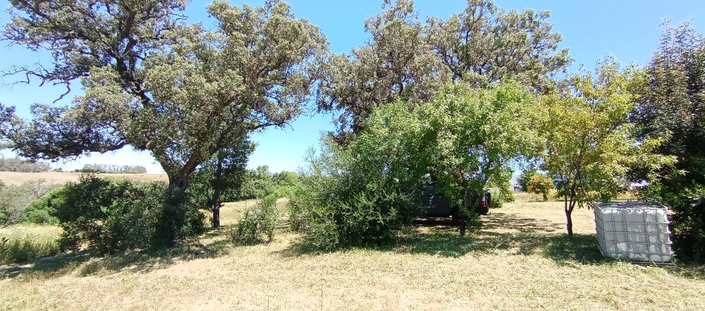  en venta finca rústica Arcos De La Frontera Sierra De Cádiz 50