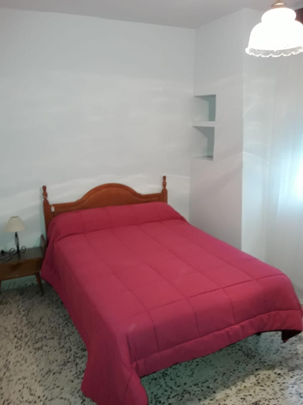  en venta finca rústica Andújar Campiña De Jaén 25