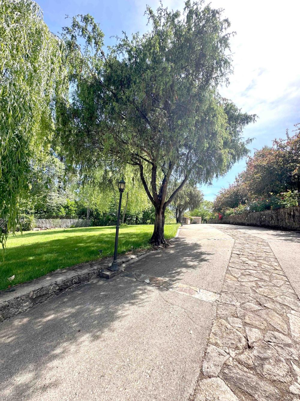  en venta finca rústica Villanueva De La Vera La Vera 6