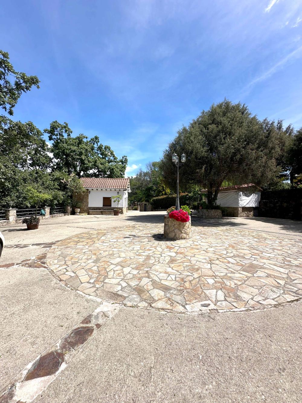  en venta finca rústica Villanueva De La Vera La Vera 2