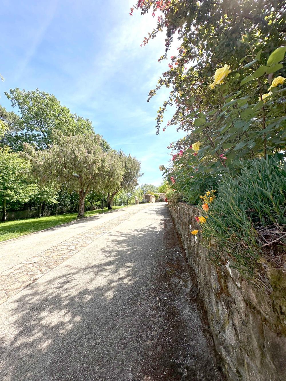  en venta finca rústica Villanueva De La Vera La Vera 8