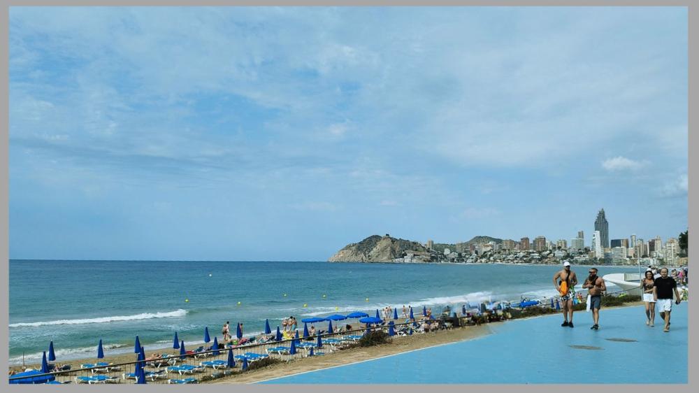  en venta local comercial Poniente Marina Baixa 5