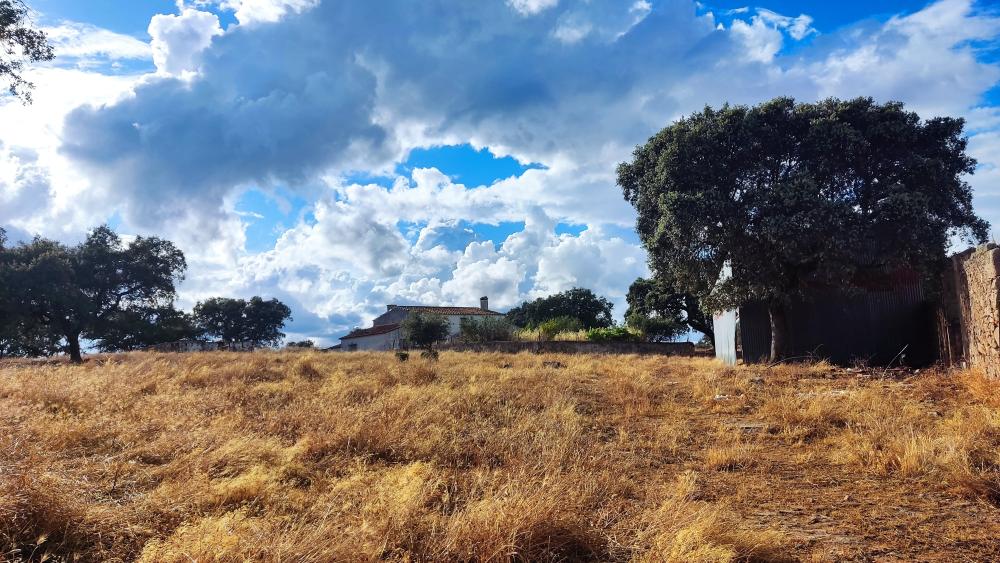  en venta finca rústica Santa Olalla Del Cala Sierra De Huelva 5