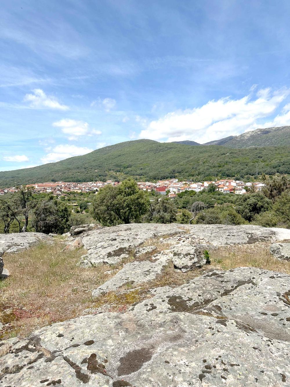  en venta finca rústica Villanueva De La Vera La Vera 18