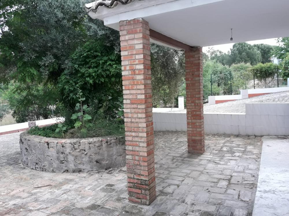  en venta finca rústica Andújar Campiña De Jaén 15