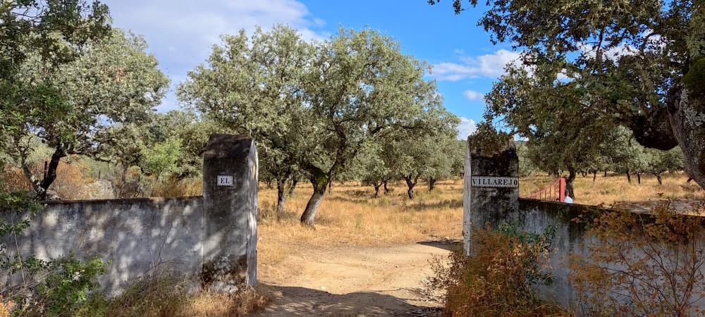  en venta finca rústica Santa Olalla Del Cala Sierra De Huelva 1