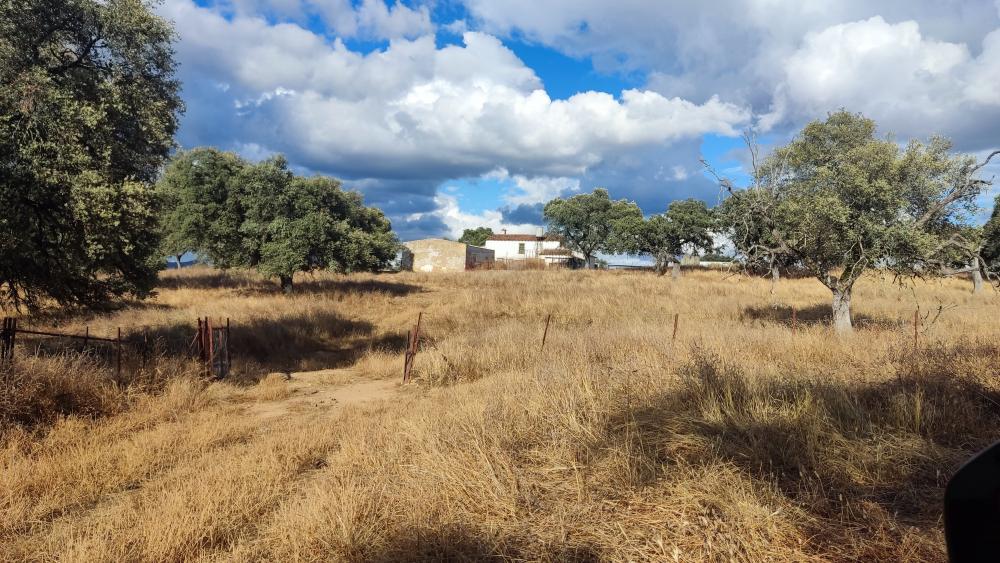  en venta finca rústica Santa Olalla Del Cala Sierra De Huelva 8