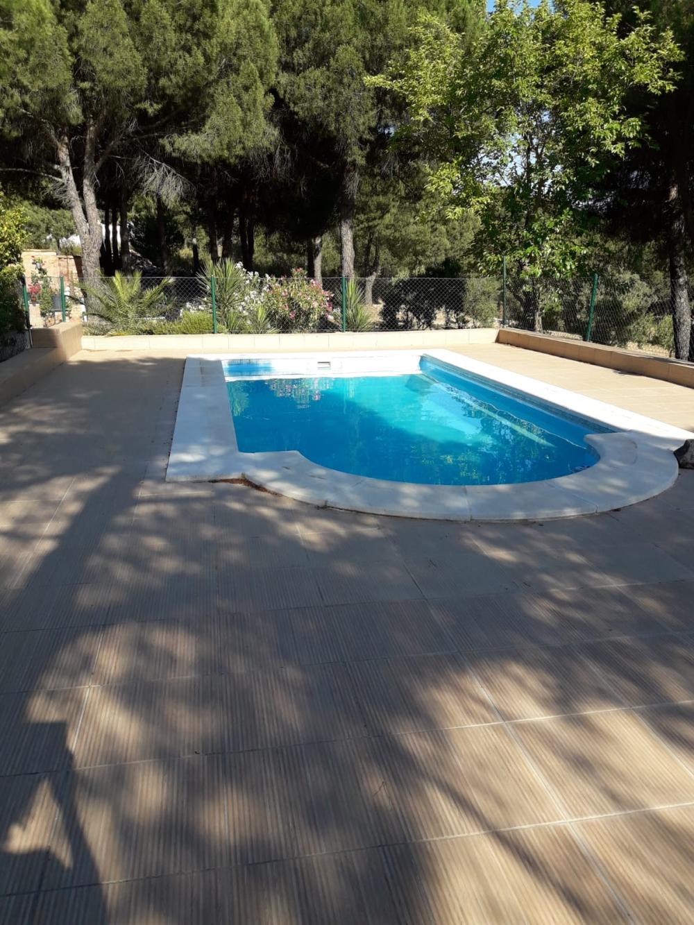  en venta finca rústica Andújar Campiña De Jaén 17