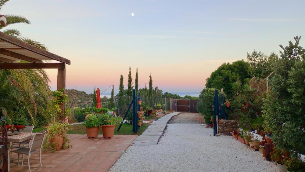  en venta finca rústica Estepona Costa Del Sol Occidental 30