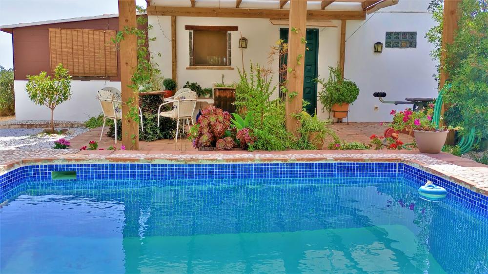  en venta finca rústica Estepona Costa Del Sol Occidental 9