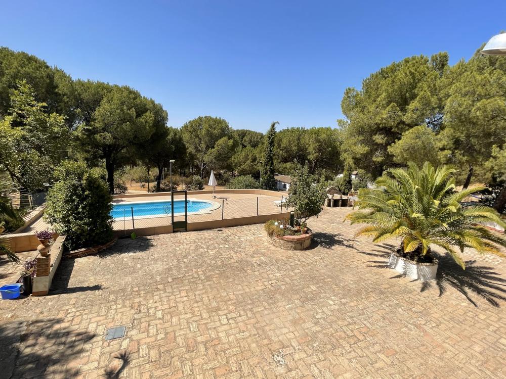  en venta finca rústica Andújar Campiña De Jaén 3