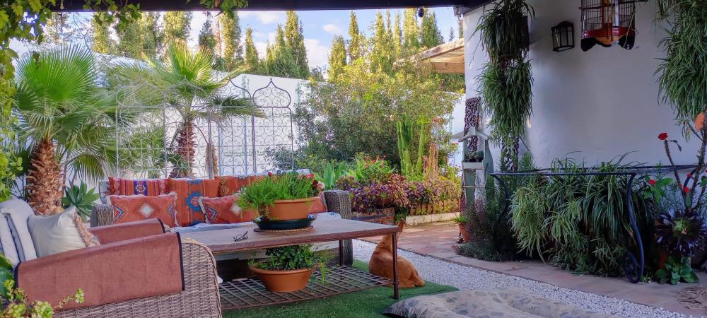  en venta finca rústica Estepona Costa Del Sol Occidental 24