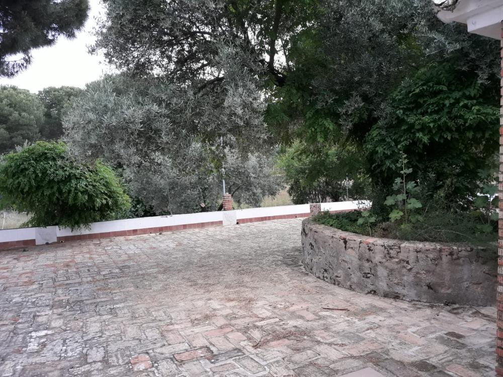  en venta finca rústica Andújar Campiña De Jaén 16