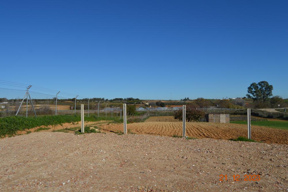  en venta finca rústica Rociana Del Condado Condado (El) 4