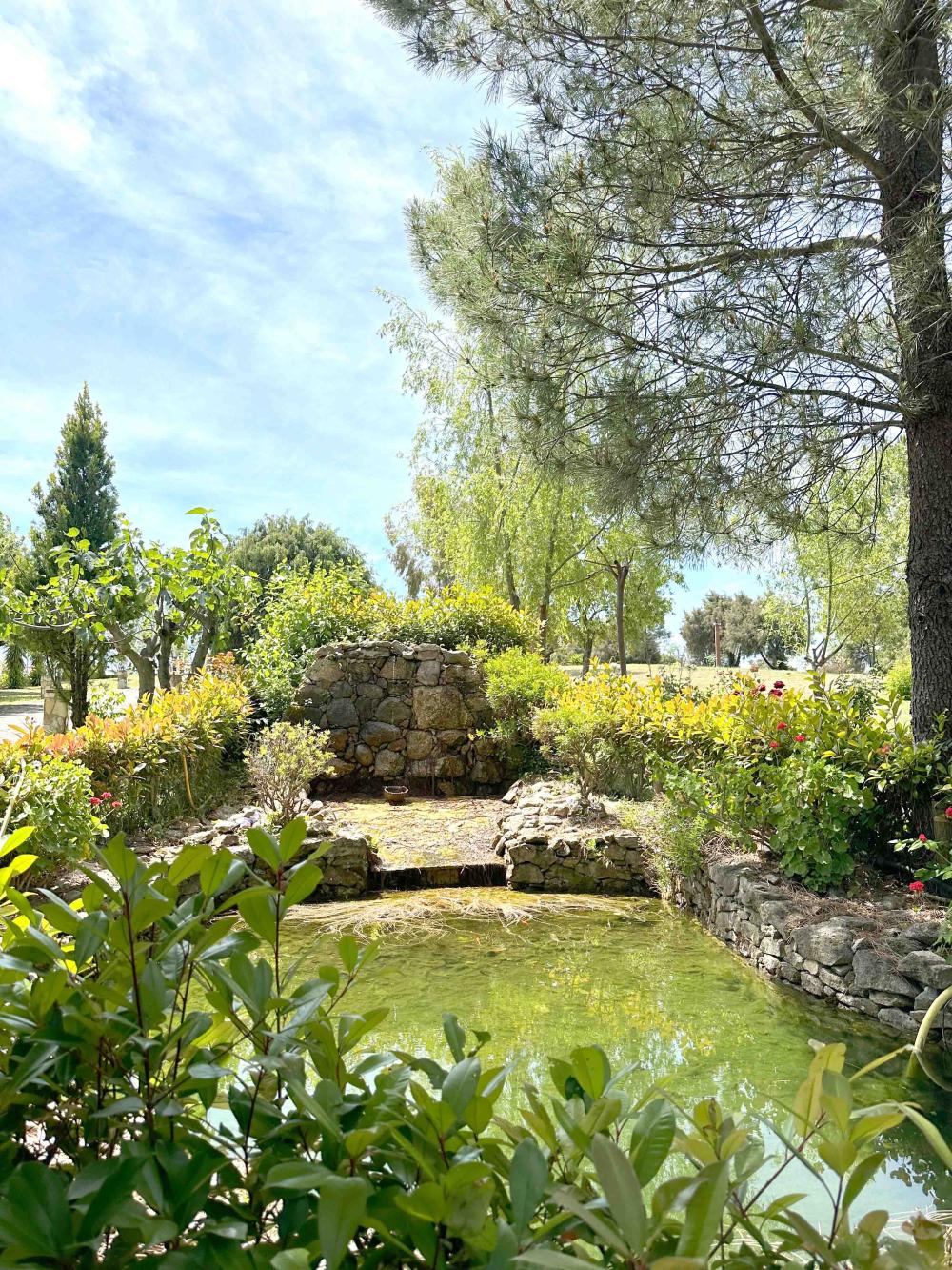  en venta finca rústica Villanueva De La Vera La Vera 20