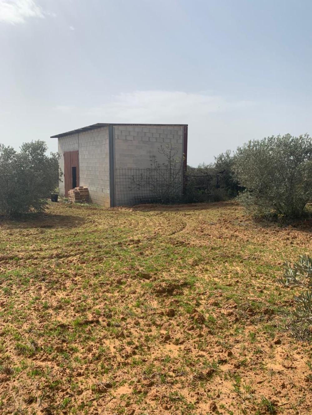  en venta finca rústica Hinojos Condado (El) 2