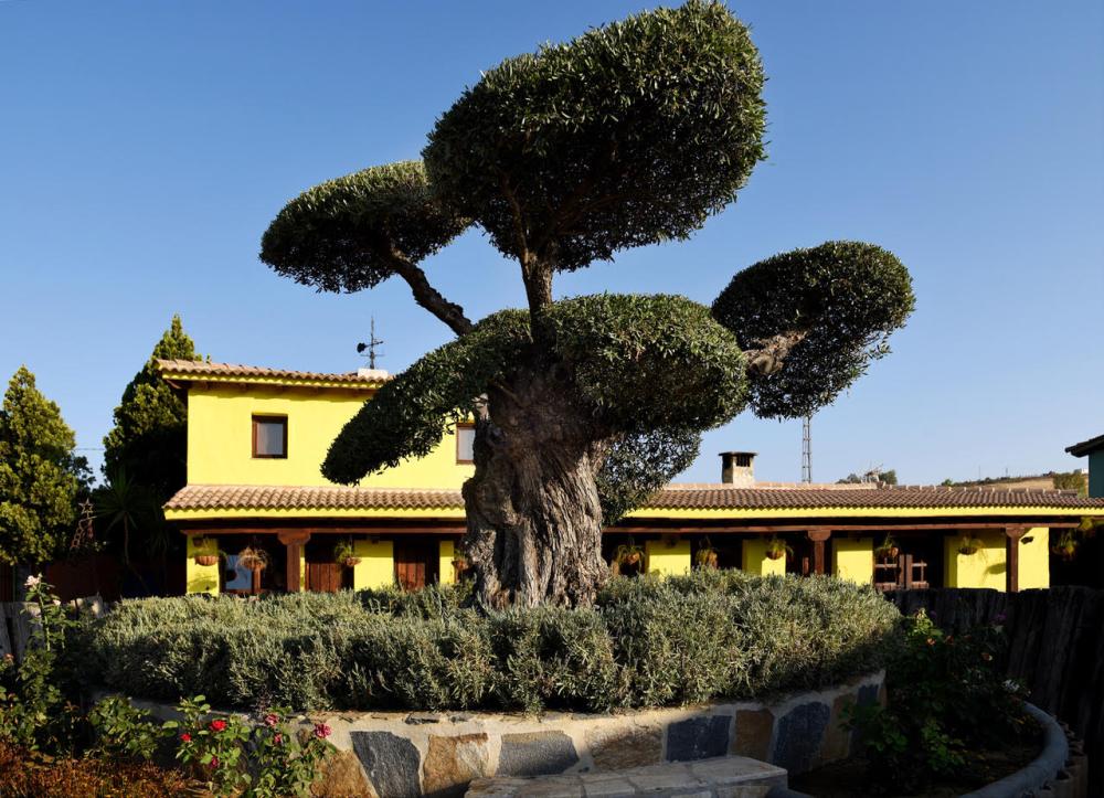  en venta finca rústica Coín Valle Del Guadalhorce 14