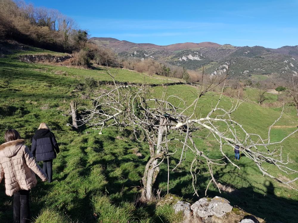  en venta finca rústica Proaza Oviedo 4