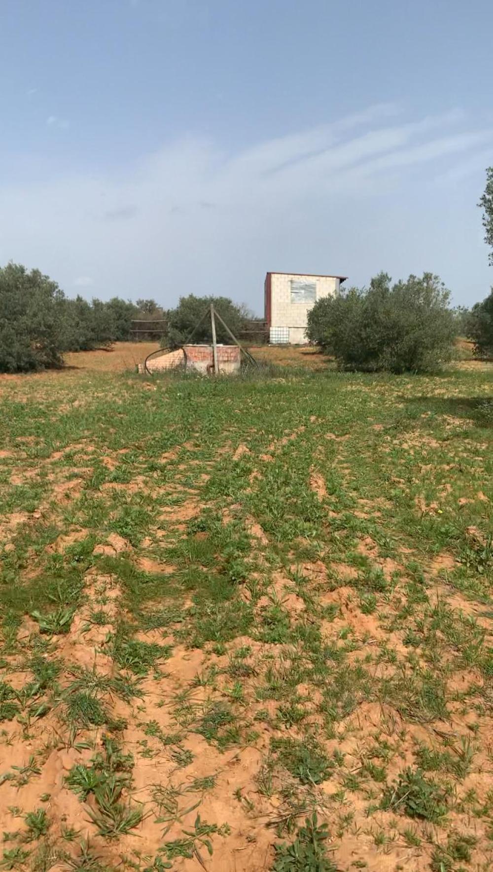  en venta finca rústica Hinojos Condado (El) 1