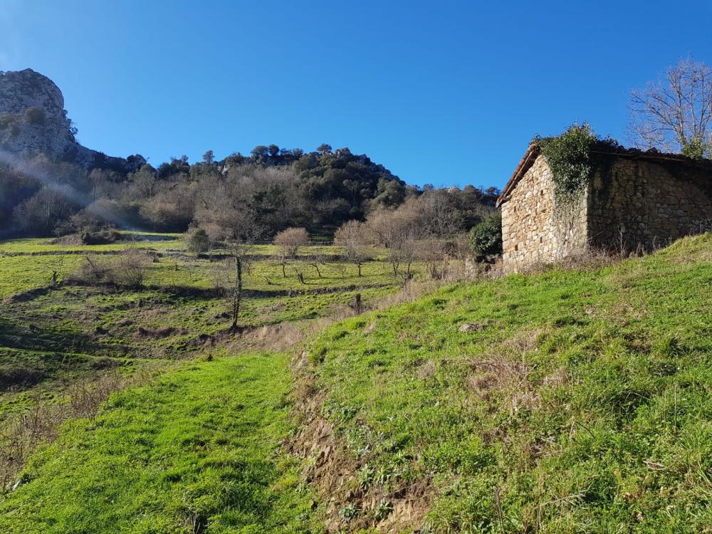  en venta finca rústica Proaza Oviedo 3