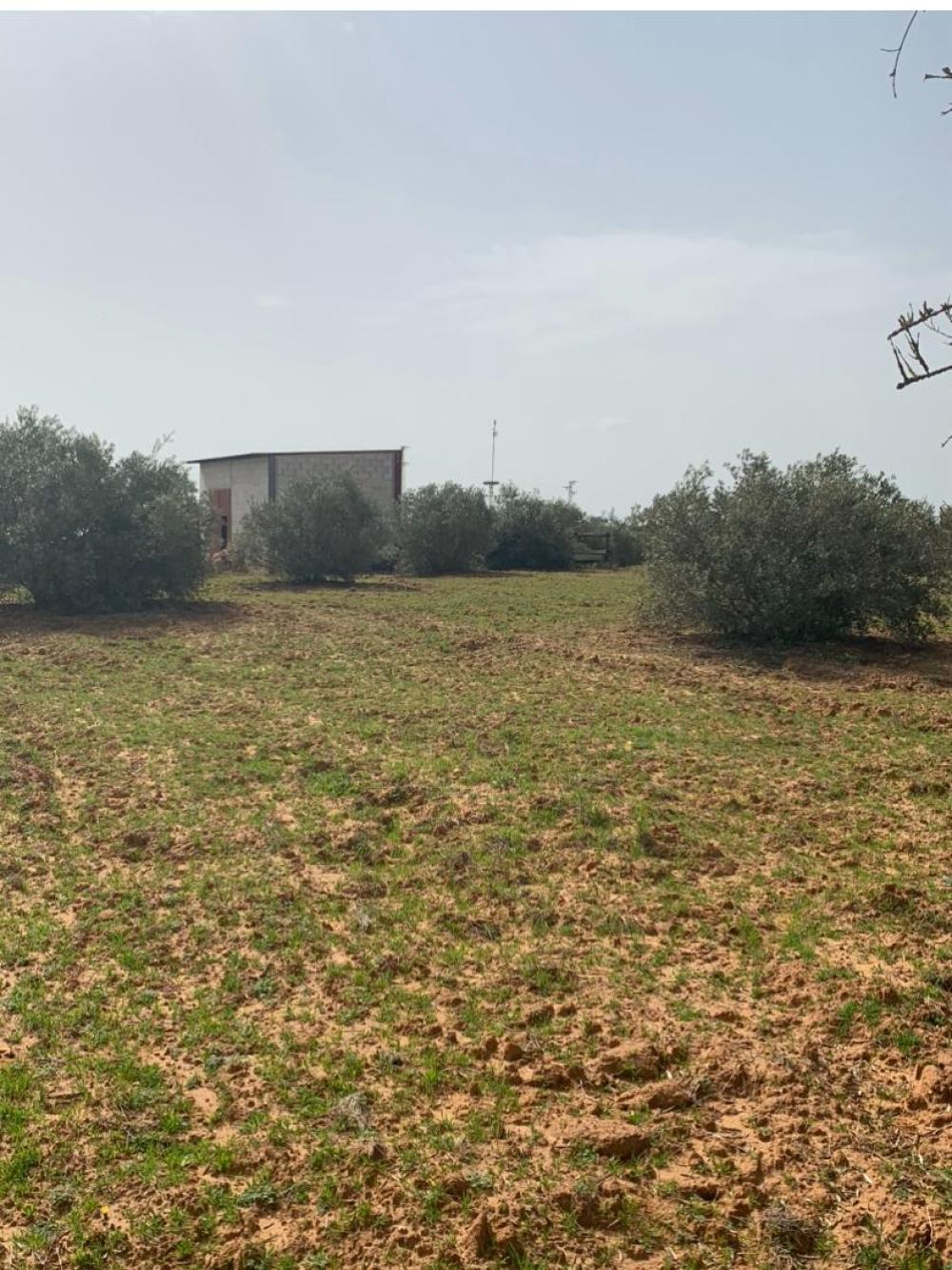  en venta finca rústica Hinojos Condado (El) 4