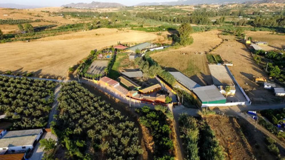  en venta finca rústica Coín Valle Del Guadalhorce 2