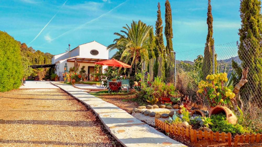  en venta finca rústica Estepona Costa Del Sol Occidental 32