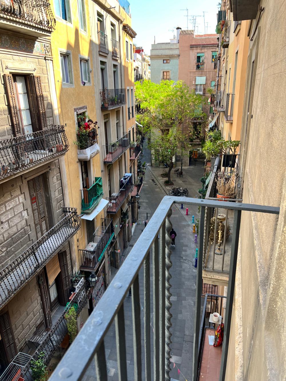  en venta apartamento Ciutat Vella-Sant Pere-Santa Caterina-El Born Barcelonès 5
