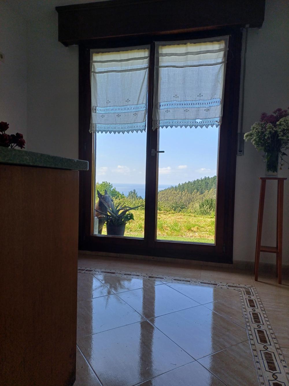  en venta chalet Asterrika Lea-Artibai 12