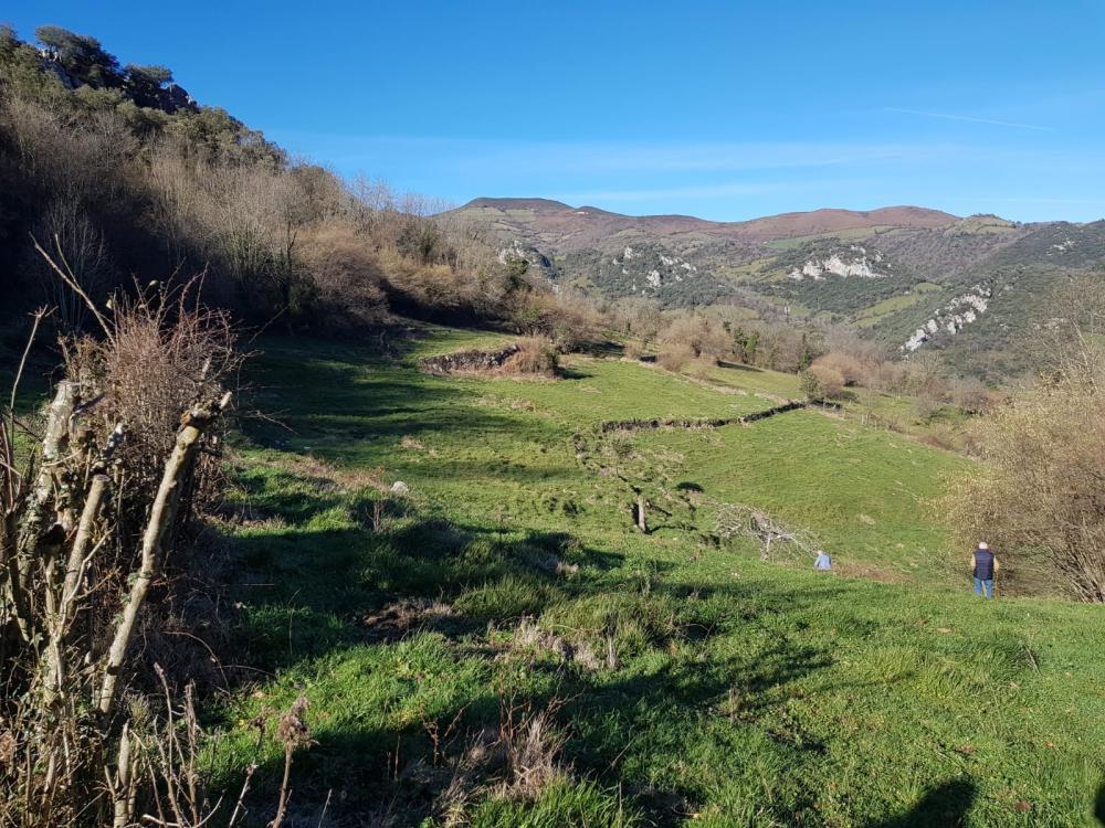  en venta finca rústica Proaza Oviedo 2