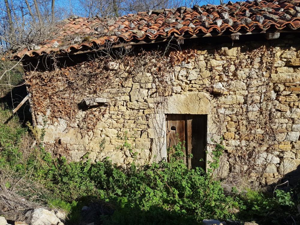  en venta finca rústica Proaza Oviedo 5