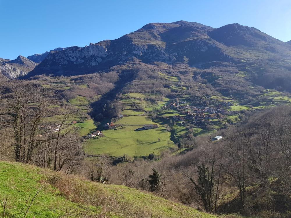  en venta finca rústica Proaza Oviedo 1