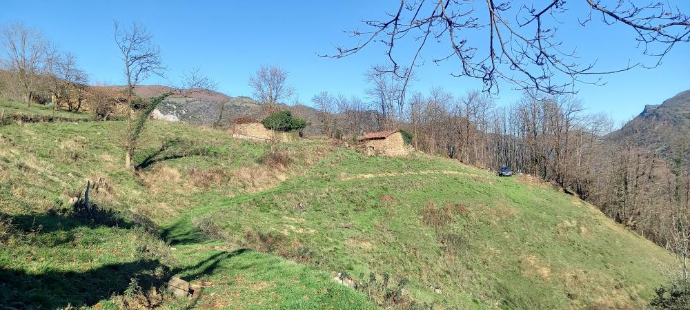  en venta finca rústica Proaza Oviedo 7