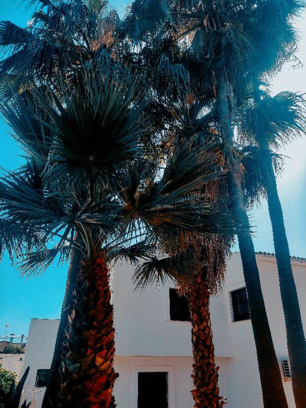  en venta chalet Estepona Costa Del Sol Occidental 2