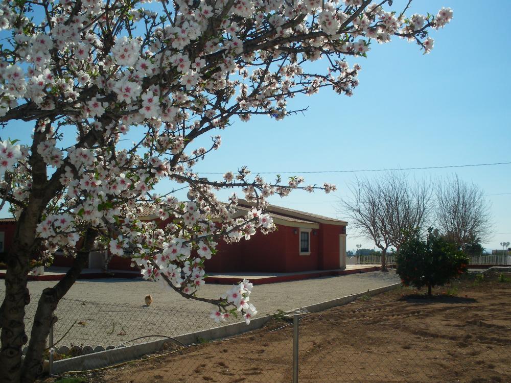  en venta chalet Pla De Sant Josep Baix Vinalopó 15