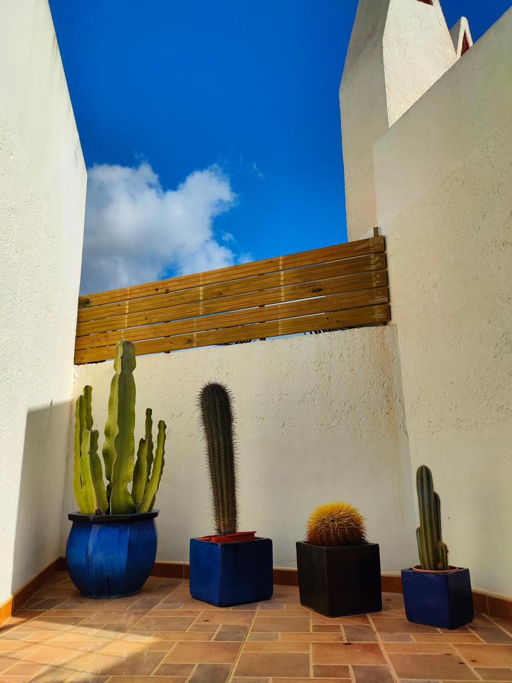  en venta pareado Rodalquilar Comarca Metropolitana De Almería 54