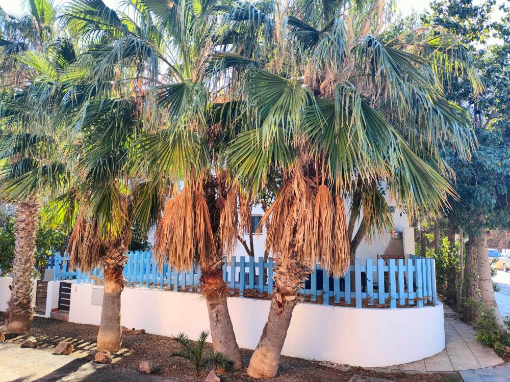  en venta pareado Rodalquilar Comarca Metropolitana De Almería 4