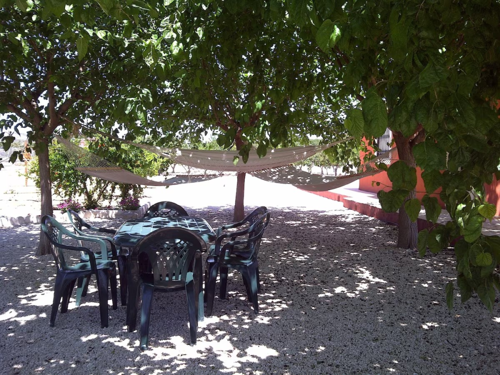  en venta chalet Pla De Sant Josep Baix Vinalopó 17