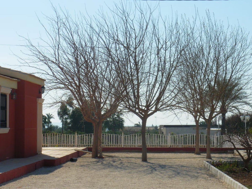  en venta chalet Pla De Sant Josep Baix Vinalopó 12
