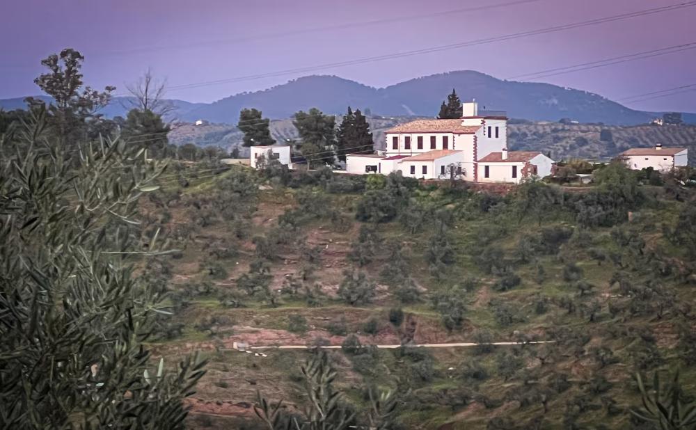  en venta finca rústica Montoro Alto Guadalquivir 13