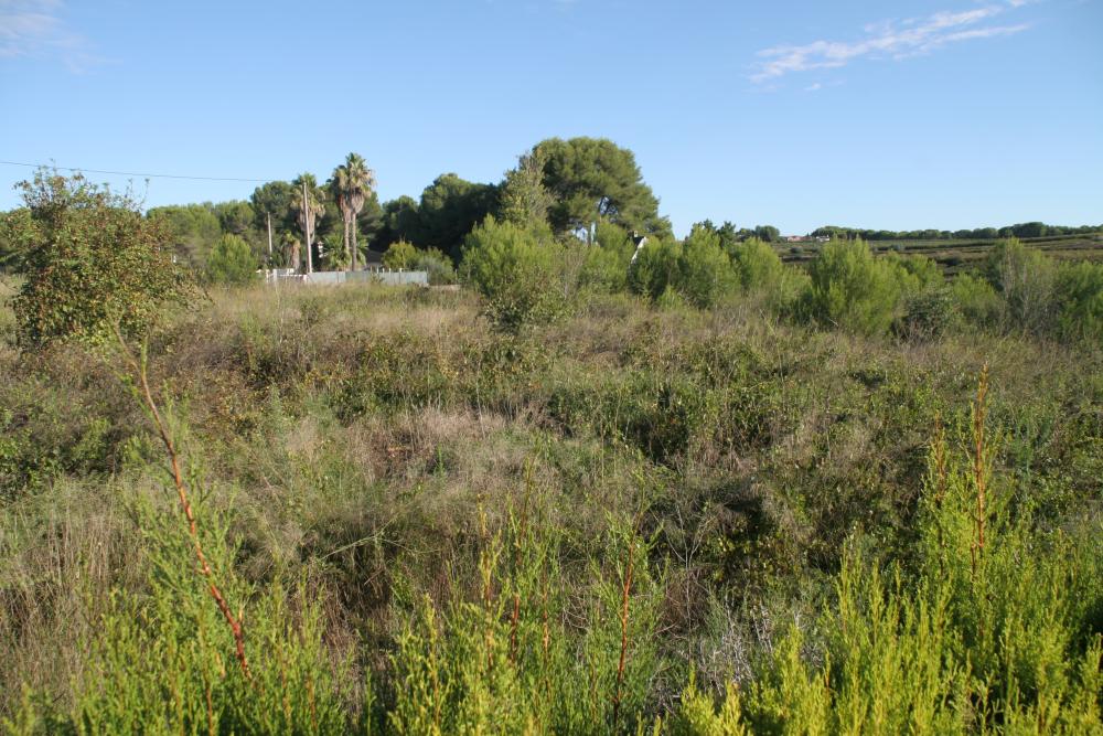  en venta chalet Godelleta Hoya De Buñol 9