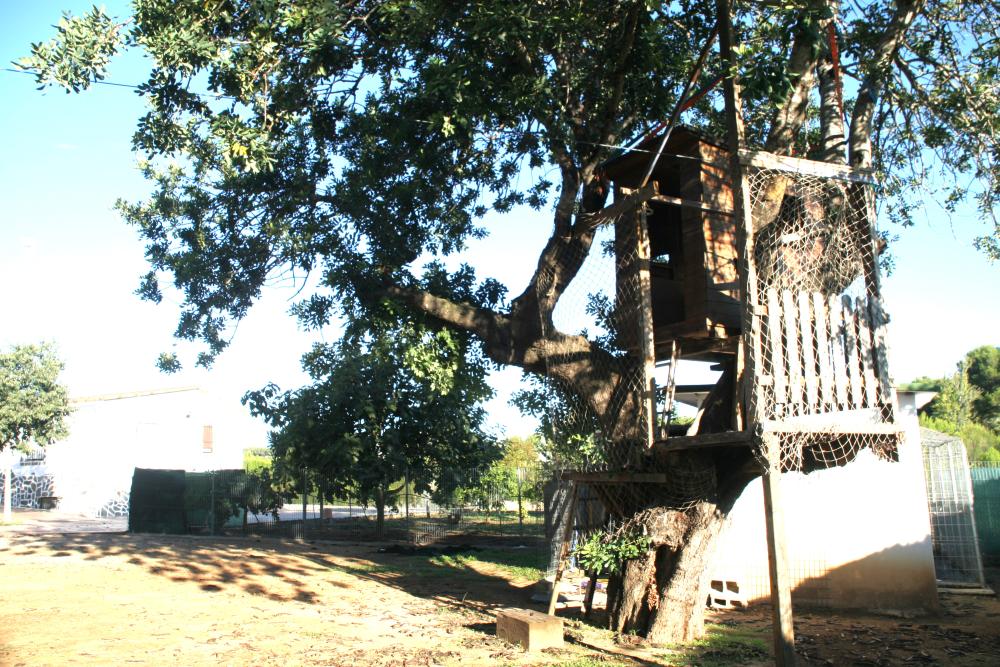  en venta chalet Godelleta Hoya De Buñol 6