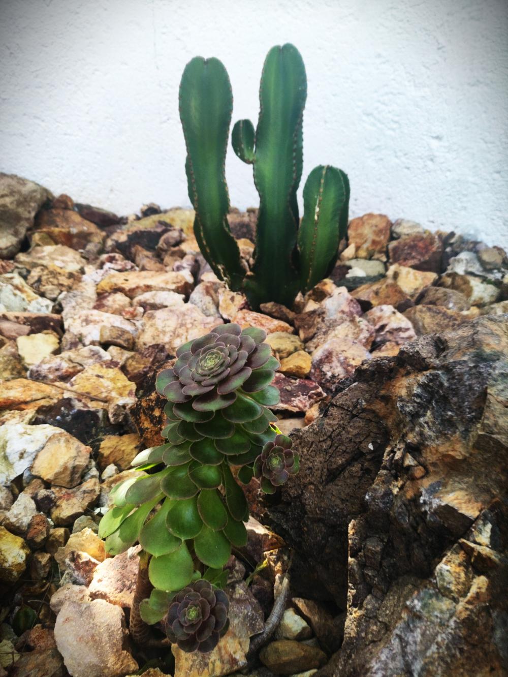  en venta pareado Rodalquilar Comarca Metropolitana De Almería 58