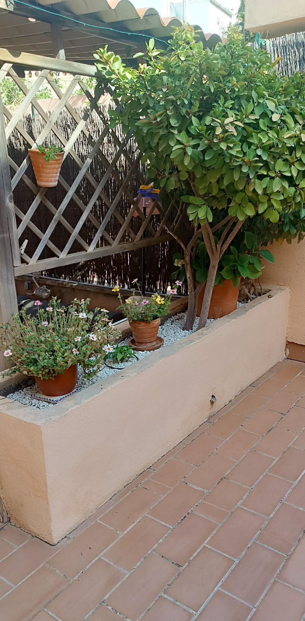  en venta dúplex La Bonanova Palma 22