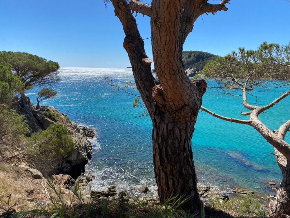  en venta apartamento Cala Margarida Baix Empordà 15