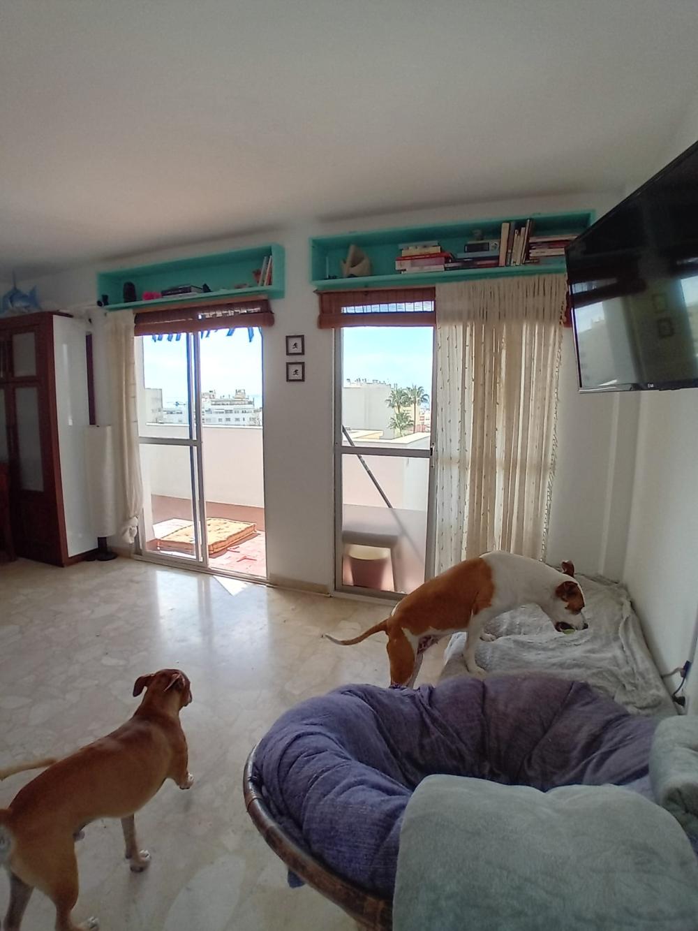  en venta apartamento Marbella Costa Del Sol Occidental 8