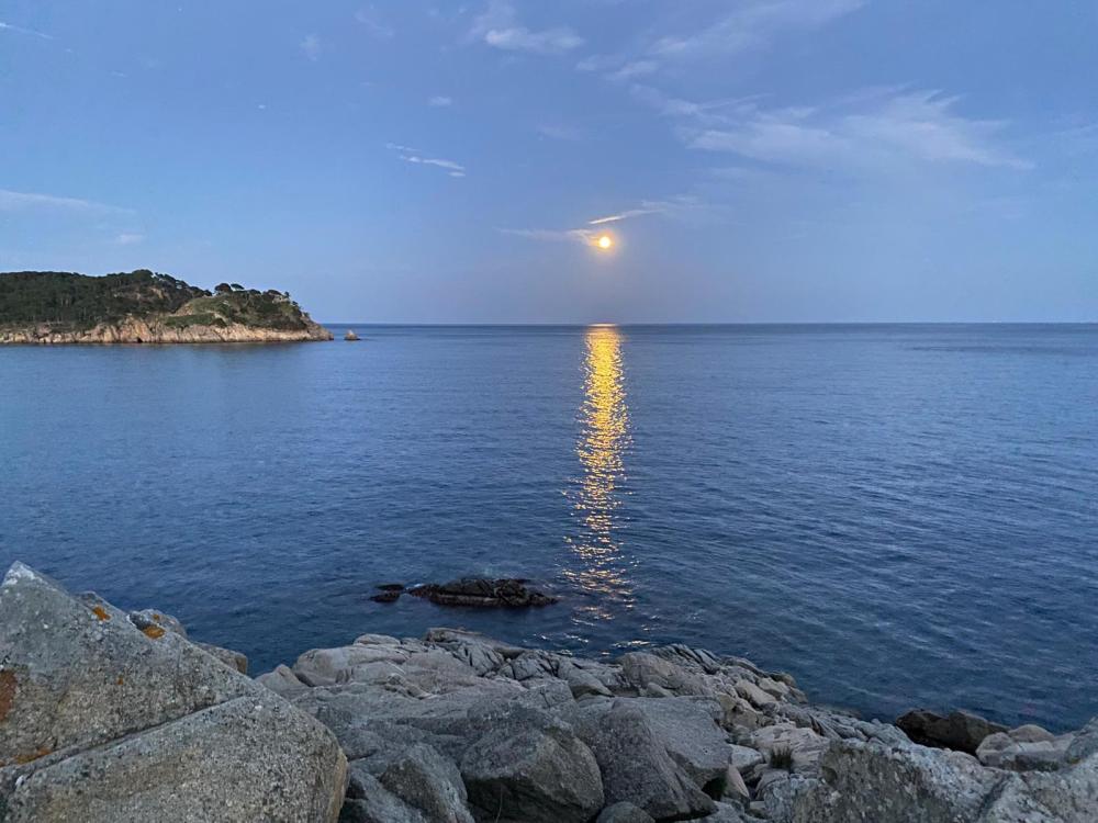  en venta apartamento Cala Margarida Baix Empordà 17