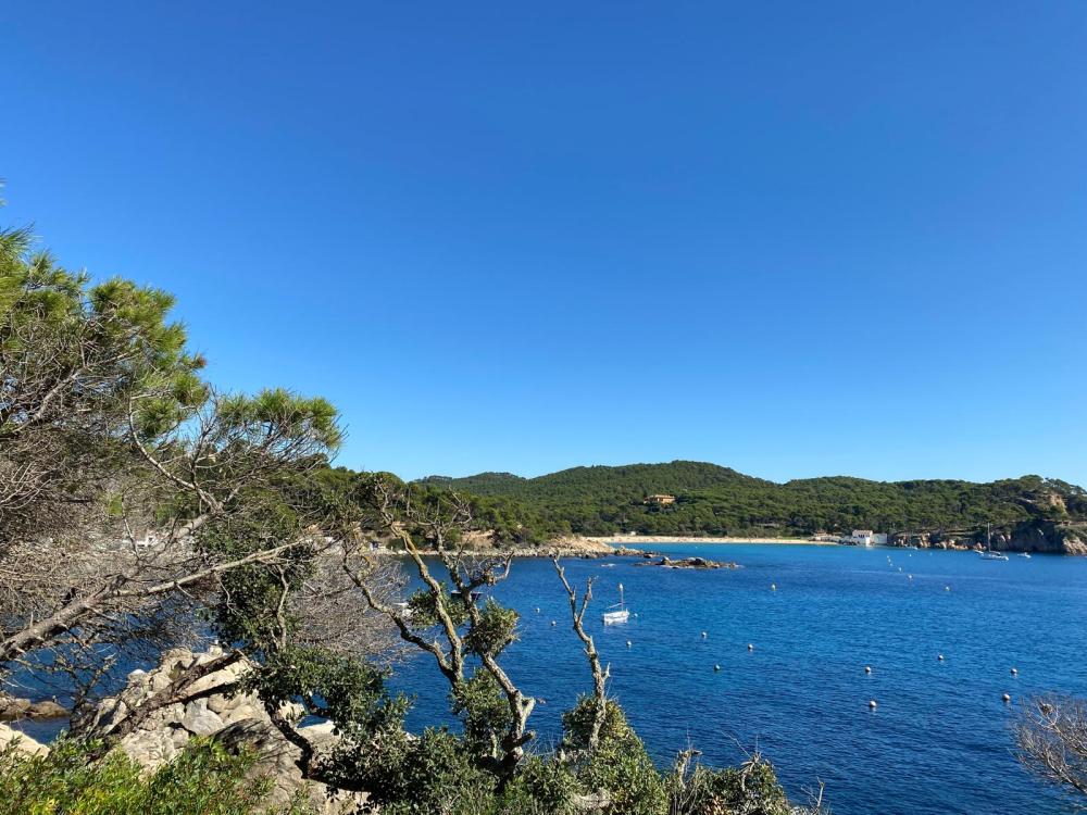  en venta apartamento Cala Margarida Baix Empordà 18